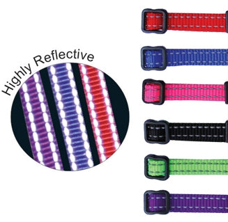 Beau Pets reflective thread adjustable puppy collar, front view