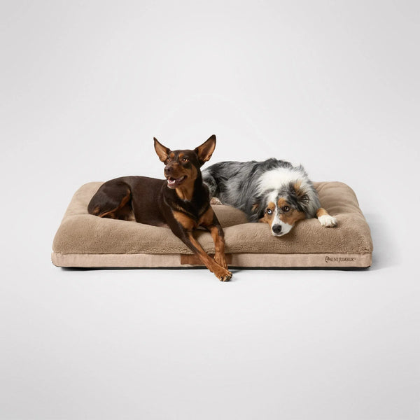 MiniJumbuk Ortho Sanctuary Dog Bed - Fawn Orthopaedic Support Bed product image 1