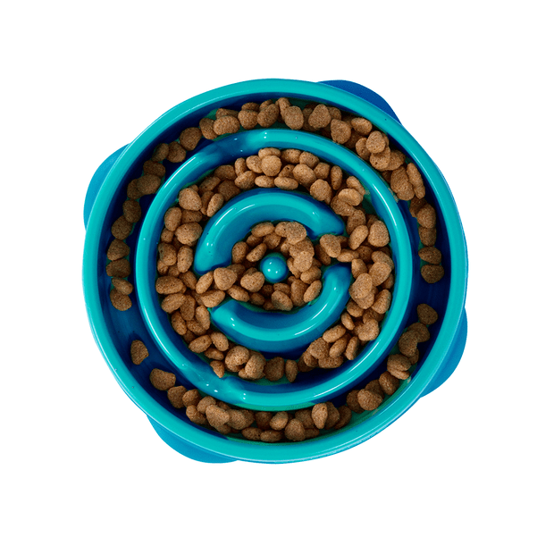 Outward Hound Fun Feeder Slo Bowl in teal, front view