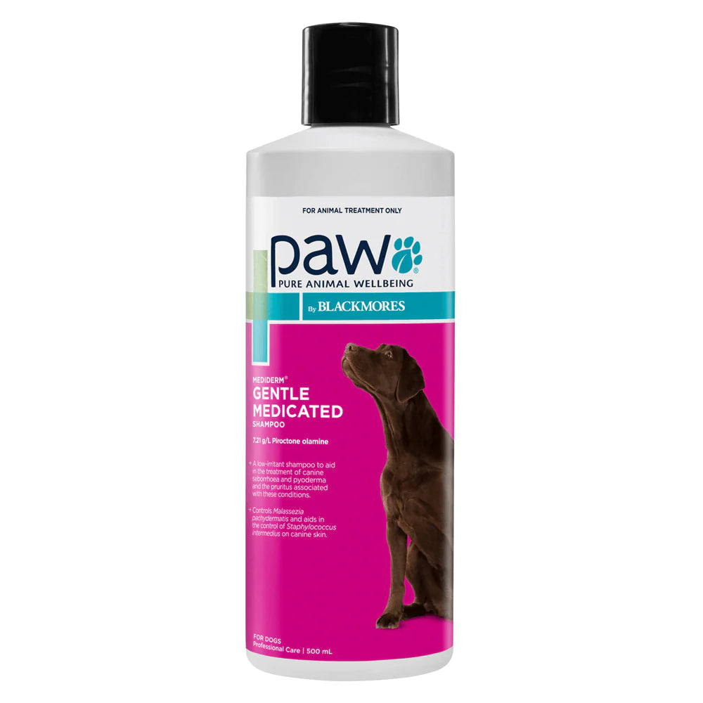 Dog Medicated Shampoo