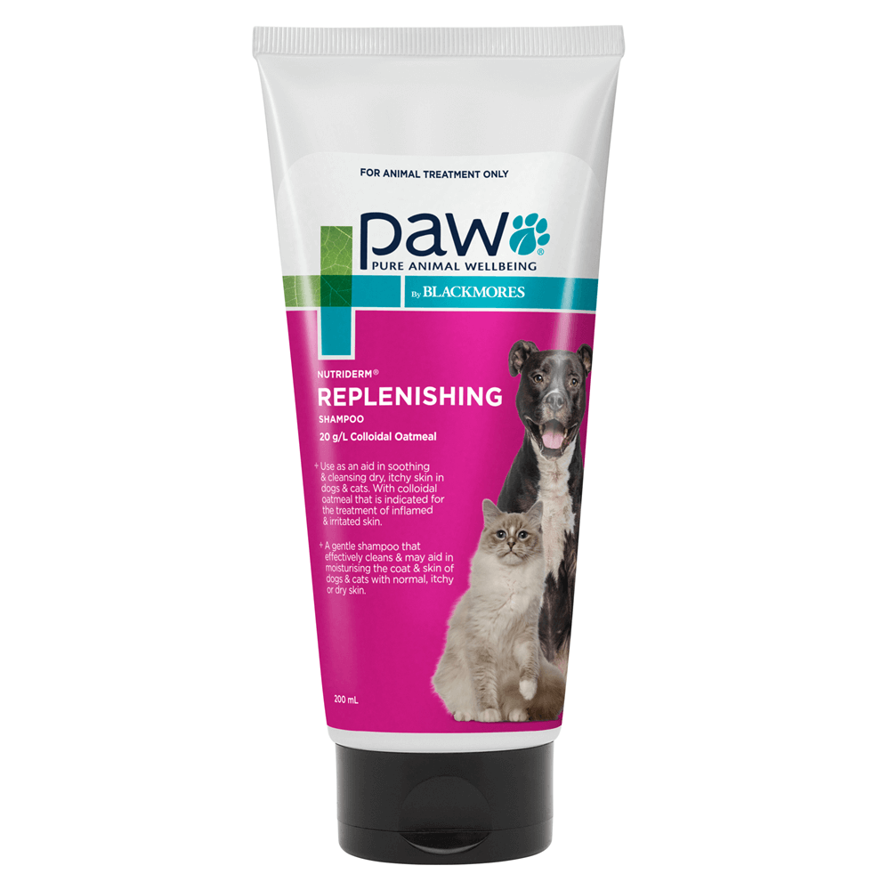 Nutriderm Dog Shampoo - Blackmores Paw – NutriDerm Replenishing Shampoo