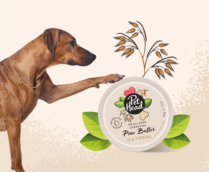 Dogs On All Paws - Oatmeal Paw Butter