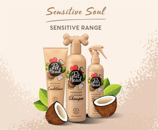 Sensitive Soul Coconut Dog Shampoo