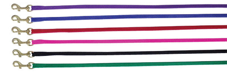 Close-up of the gold clip on the Beau Pets puppy nylon lead