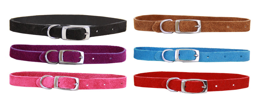 Close-up of the buckle on the Beau Pets suede puppy collar