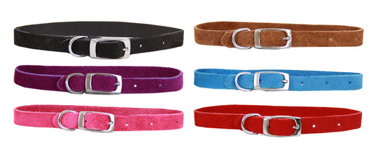Close-up of the buckle on the Beau Pets suede puppy collar