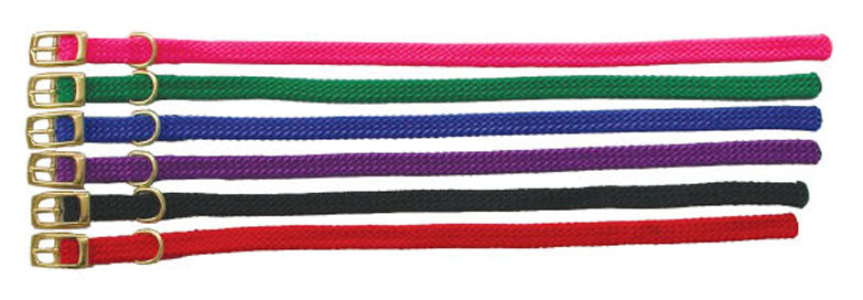 Close-up of the gold buckle on the Beau Pets 30cm puppy nylon collar