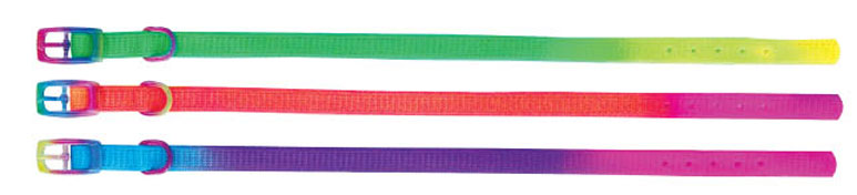 Beau Pets rainbow puppy collar, close-up of colourful weave