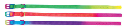 Beau Pets rainbow puppy collar, close-up of colourful weave