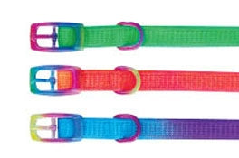 Beau Pets rainbow nylon puppy collar, full view