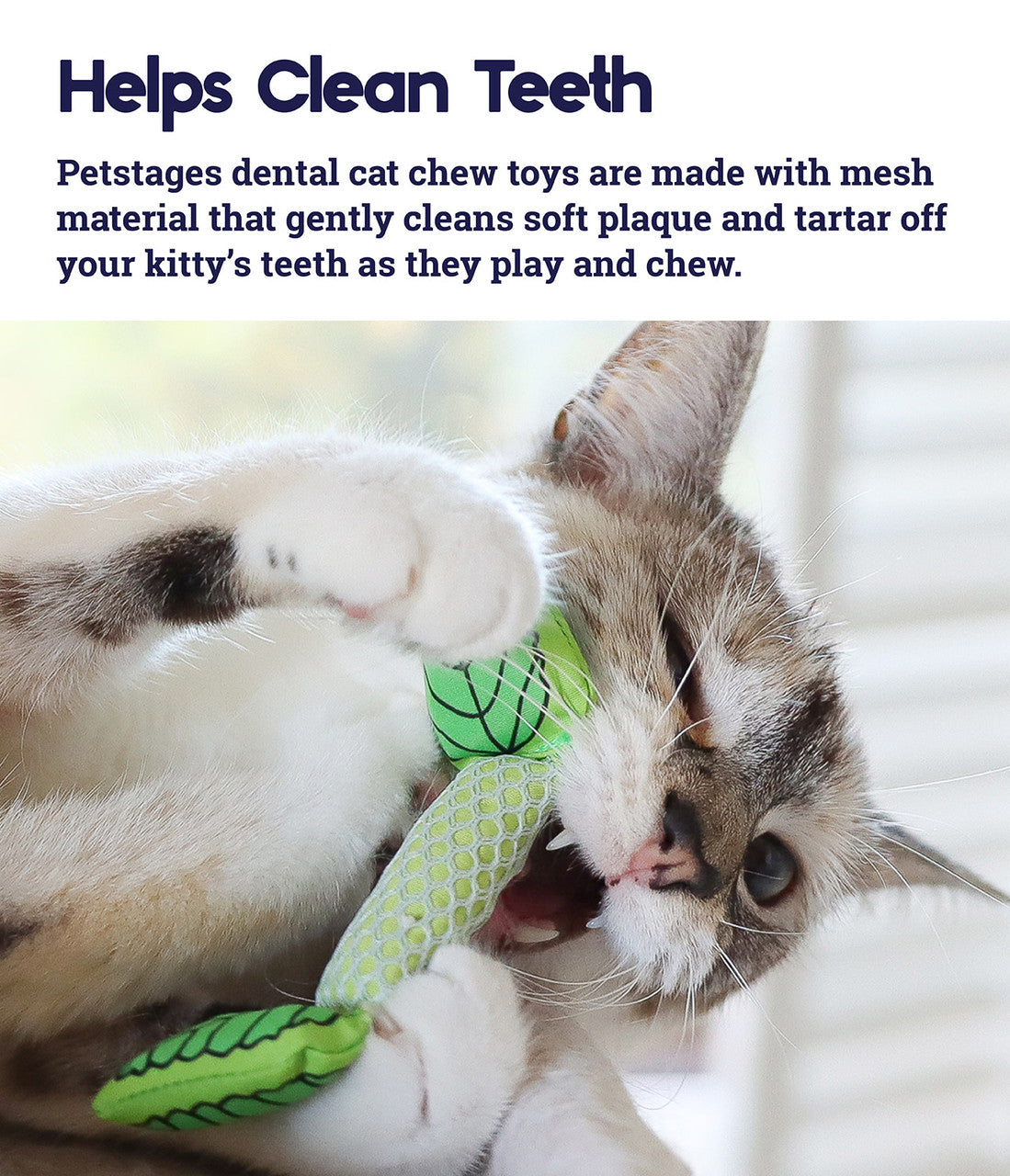 Petstages - Fresh Breath Mint Stick product image 4