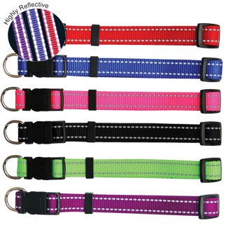 Beau Pets Reflective Nylon Dog Collar in purple