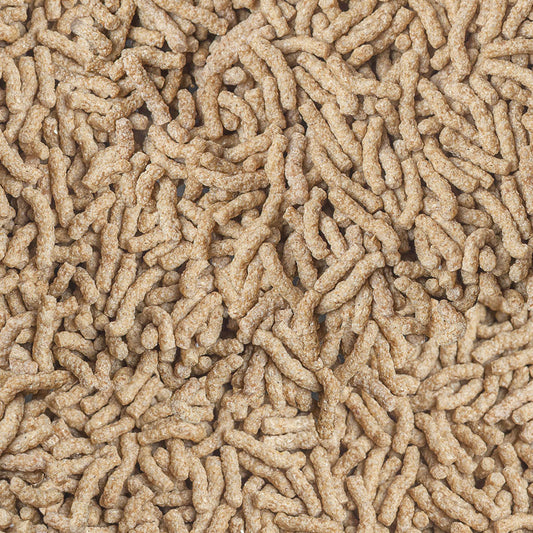 Sera – Cichlid Sticks