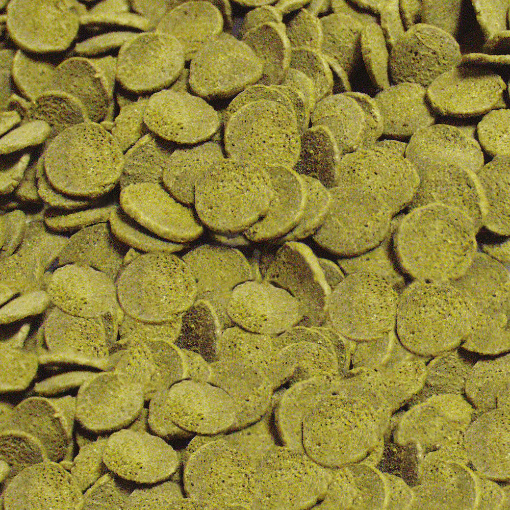 Sera - Pleco Chips