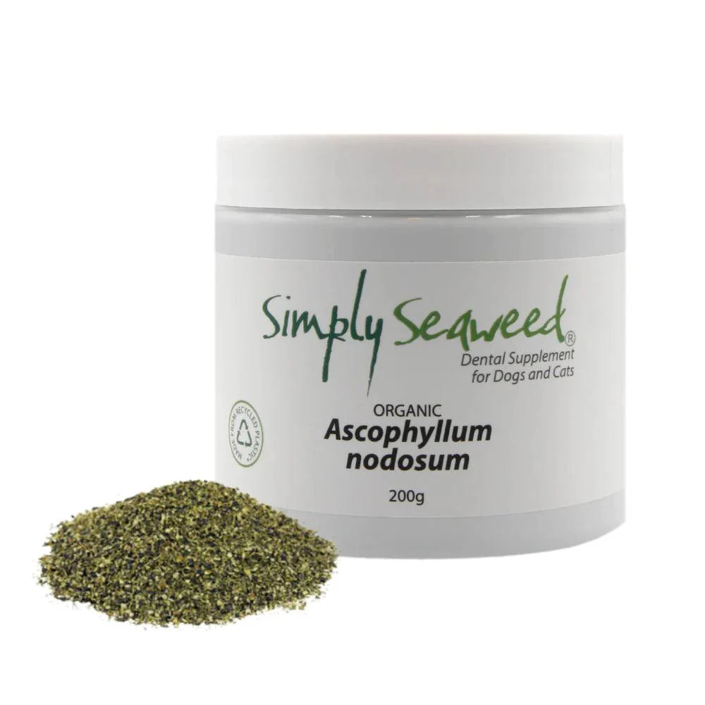 Simply Seaweed - Seaweed Supplement for Dogs Teeth product image 1