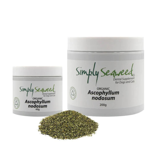 Simply Seaweed – Seaweed Supplement for Dogs Teeth