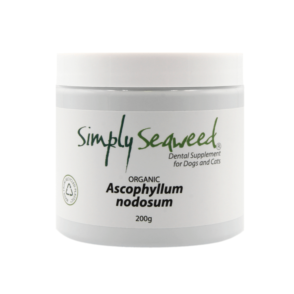 Simply Seaweed – Seaweed Supplement for Dogs Teeth