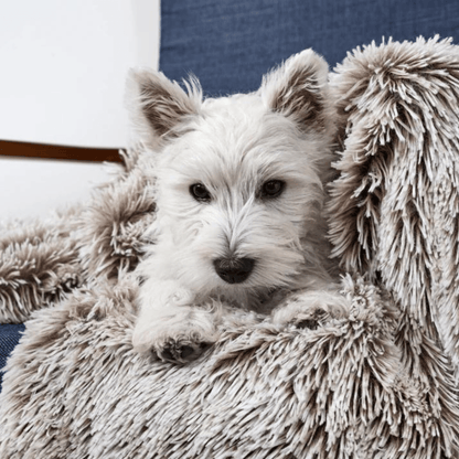 Snooza – Calming Cuddler Blanket – Mink