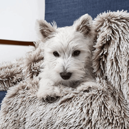 Snooza – Calming Cuddler Blanket – Mink