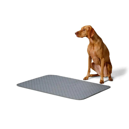 Snooza – Washable Dog Pee Pads