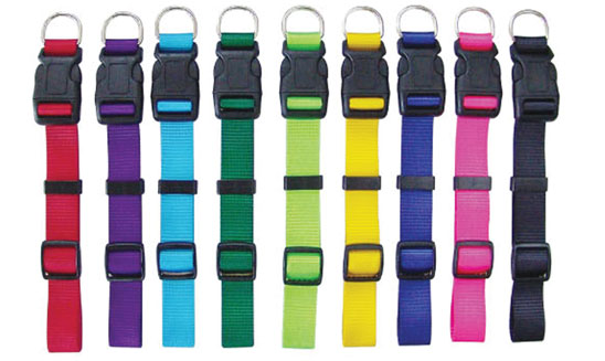 Beau Pets Soft Polyware Collar 20mm in assorted colours