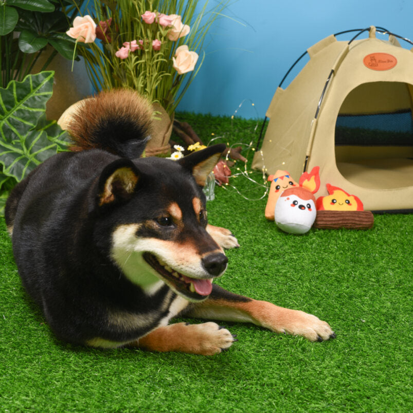 Hugsmart Camp Hound toy alternate thumbnail image