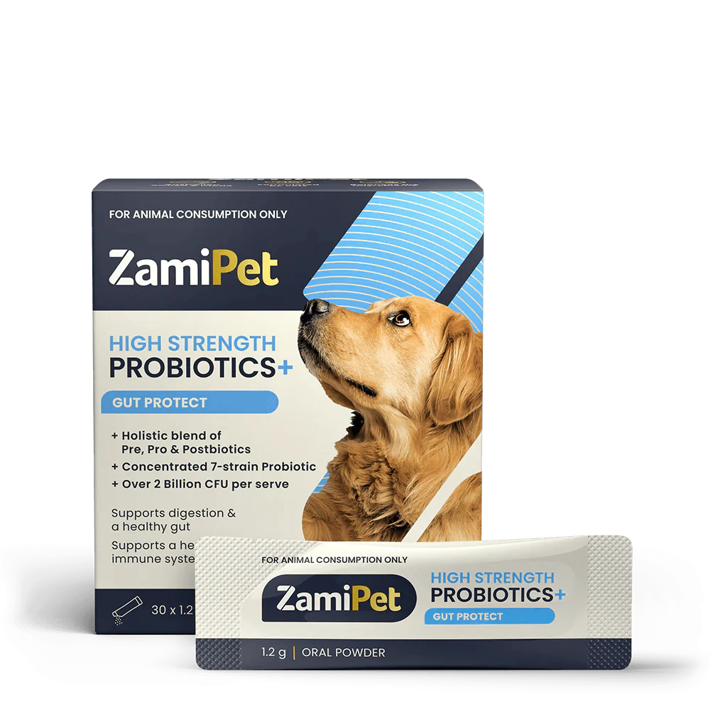 High Strength Probiotics+ product image 1
