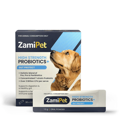 High Strength Probiotics+ product image 1