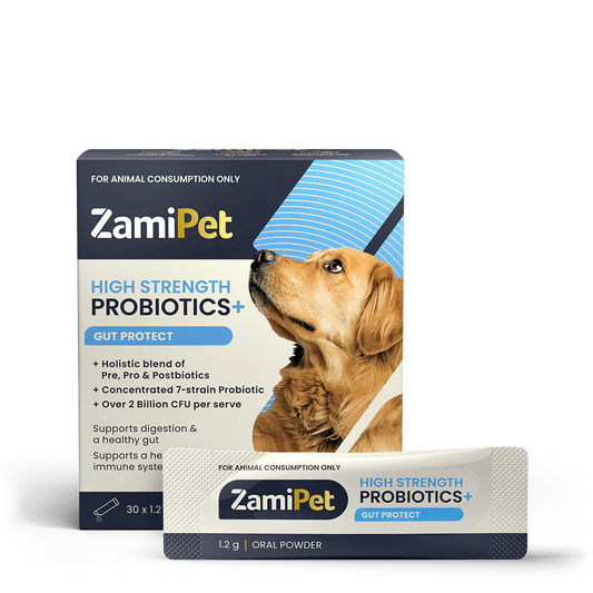 High Strength Probiotics+ product image 1