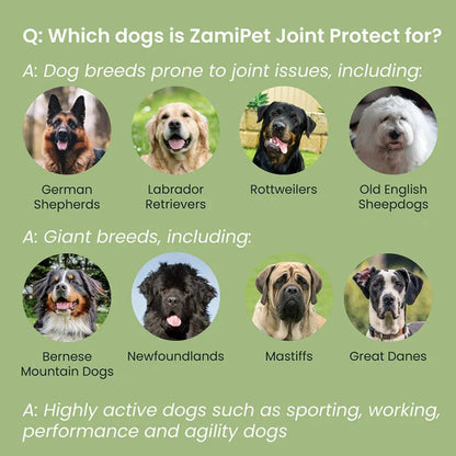 Dog Joint Protect Supplement