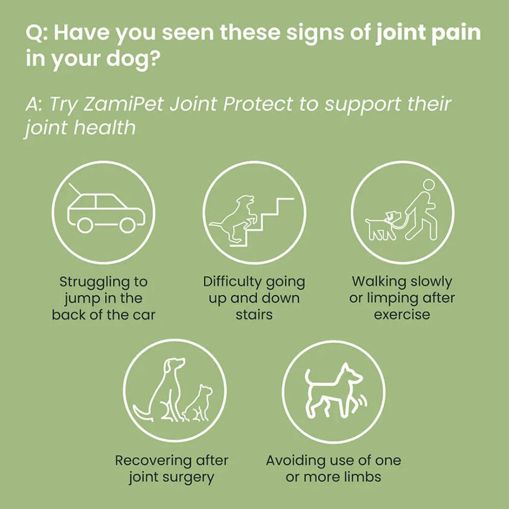 Dog Joint Protect Supplement