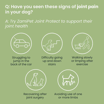 Dog Joint Protect Supplement