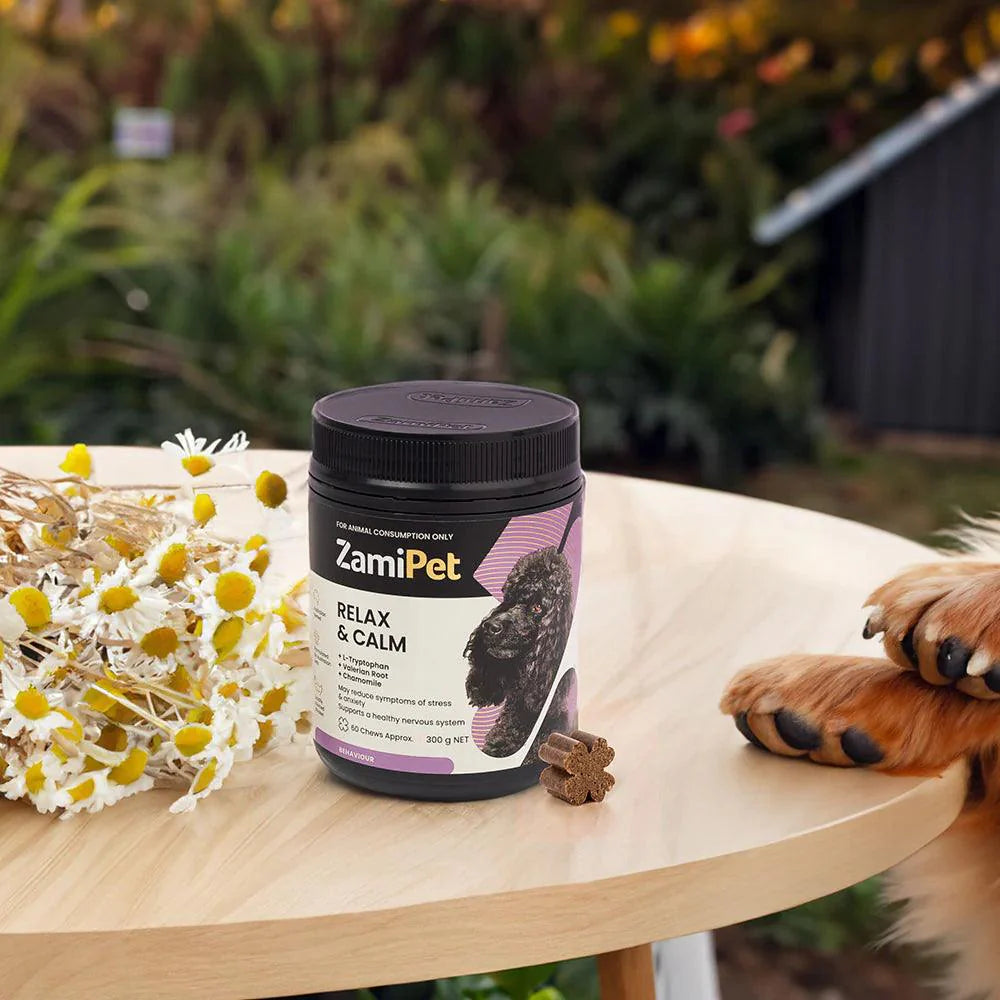 Relax & Calm Dog Supplement