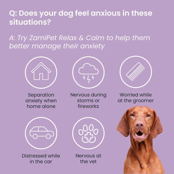 Relax & Calm Dog Supplement
